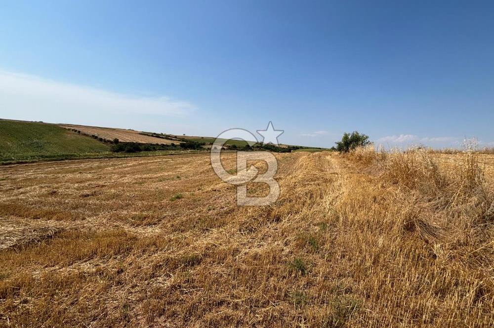 TEKİRDAĞ HAYRABOLU ÖVENLERDE 7.712 m² TEK TAPU SATILIK TARLA