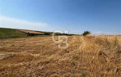 TEKİRDAĞ HAYRABOLU ÖVENLERDE 7.712 m² TEK TAPU SATILIK TARLA