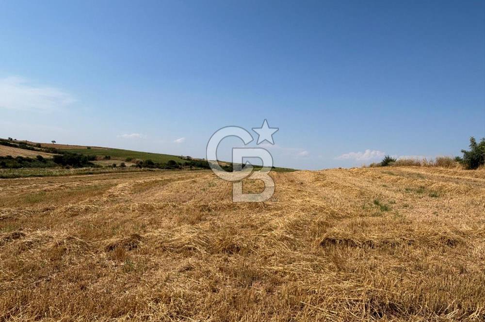 TEKİRDAĞ HAYRABOLU ÖVENLERDE 7.712 m² TEK TAPU SATILIK TARLA