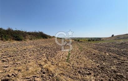 TEKİRDAĞ HAYRABOLU ÖVENLER'DE 7.340 m² TEK TAPU SATILIK TARLA