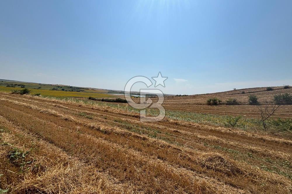 TEKİRDAĞ HAYRABOLU ÖVENLER'DE 7.340 m² TEK TAPU SATILIK TARLA