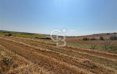 TEKİRDAĞ HAYRABOLU ÖVENLER'DE 7.340 m² TEK TAPU SATILIK TARLA