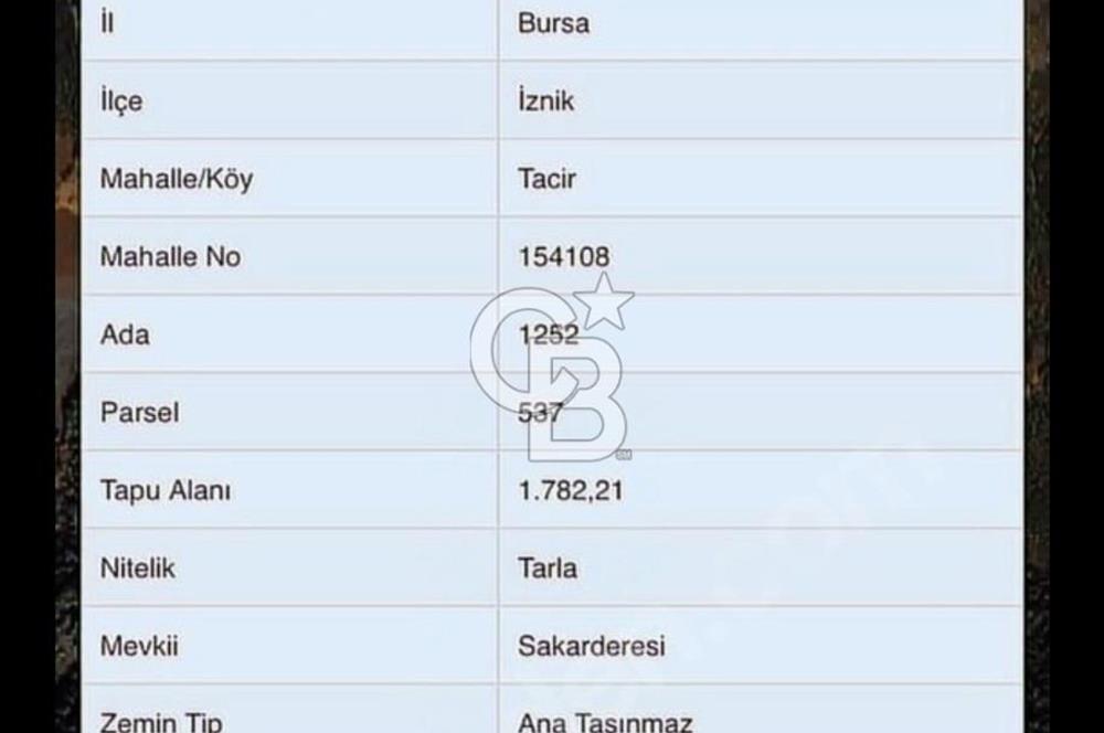İZNİK TACİR SATILIK TARLA