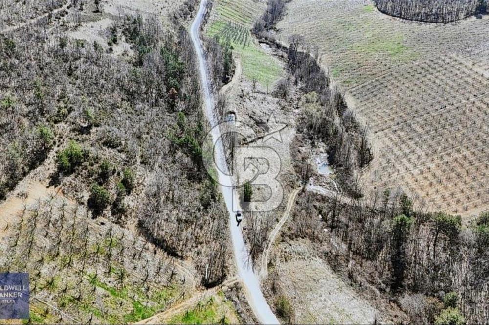 İZNİK TACİR SATILIK TARLA