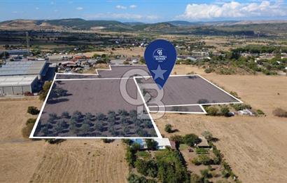 ALİAĞA HELVACI'DA (36667 m²) SATILIK ARSA