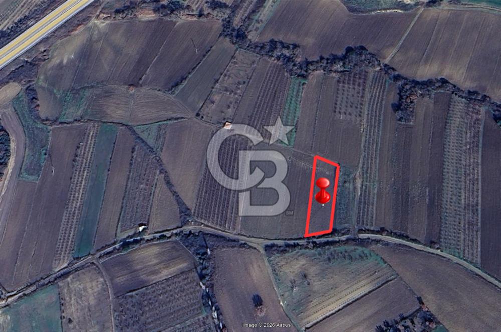 LAPSEKİ SULUCADA YOLA CEPHELİ 2.434 M² SATILIK TARLA