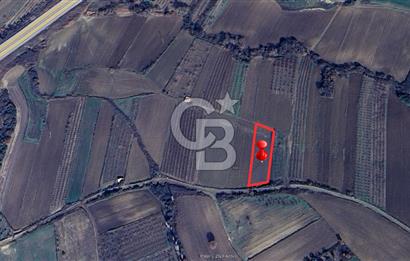 LAPSEKİ SULUCADA YOLA CEPHELİ 2.434 M² SATILIK TARLA