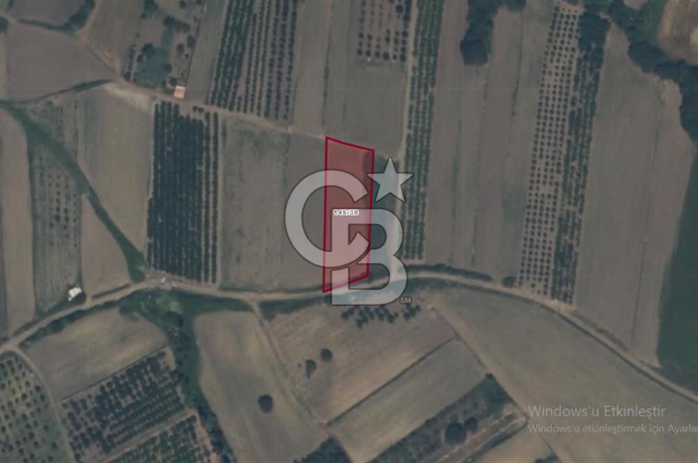 LAPSEKİ SULUCADA YOLA CEPHELİ 2.434 M² SATILIK TARLA