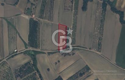 LAPSEKİ SULUCADA YOLA CEPHELİ 2.434 M² SATILIK TARLA