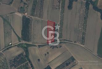 LAPSEKİ SULUCADA YOLA CEPHELİ 2.434 M² SATILIK TARLA - 3 - 376182