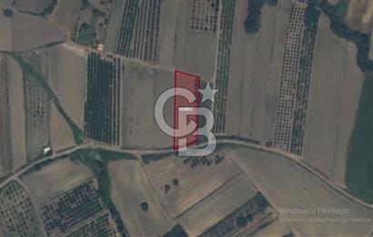 LAPSEKİ SULUCADA YOLA CEPHELİ 2.434 M² SATILIK TARLA