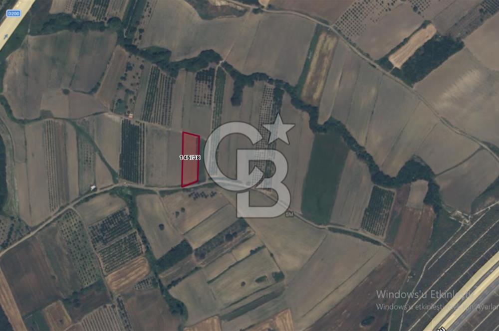 LAPSEKİ SULUCADA YOLA CEPHELİ 2.434 M² SATILIK TARLA