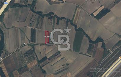 LAPSEKİ SULUCADA YOLA CEPHELİ 2.434 M² SATILIK TARLA