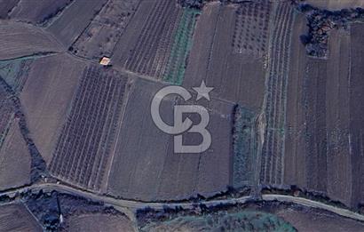 LAPSEKİ SULUCADA YOLA CEPHELİ 2.434 M² SATILIK TARLA