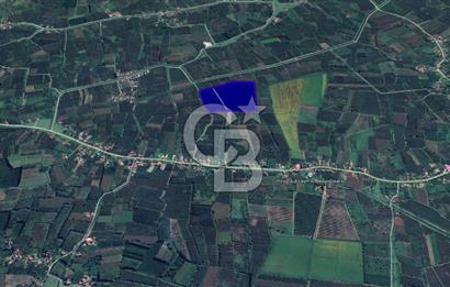 Terme'de 161.558 m2 Muazzam Arazi- Büyük Yatırım Fırsatı