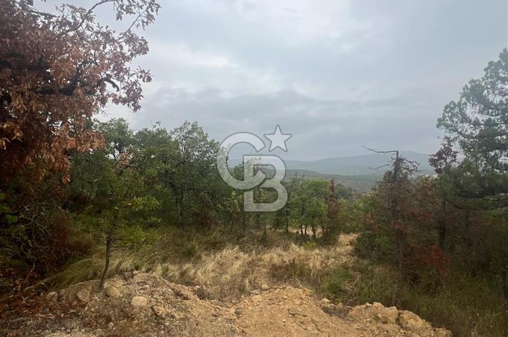 SAFRANBOLU YAZIKÖY DE SATILIK BAHÇE 