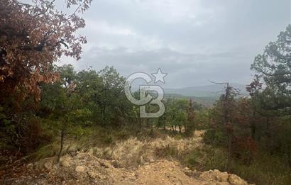 SAFRANBOLU YAZIKÖY DE SATILIK BAHÇE 