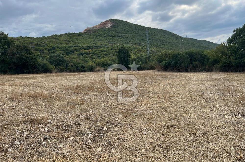 NİLÜFER AKÇALARDA OMSAN TIR PARKI DİBİNDE 5.800 M² ARAZİ