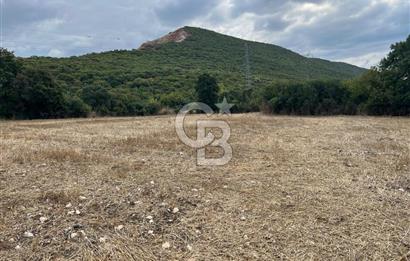 NİLÜFER AKÇALARDA OMSAN TIR PARKI DİBİNDE 5.800 M² ARAZİ