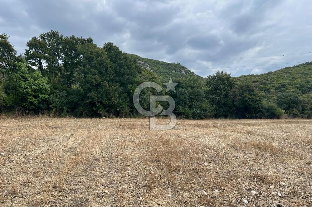 NİLÜFER AKÇALARDA OMSAN TIR PARKI DİBİNDE 5.800 M² ARAZİ