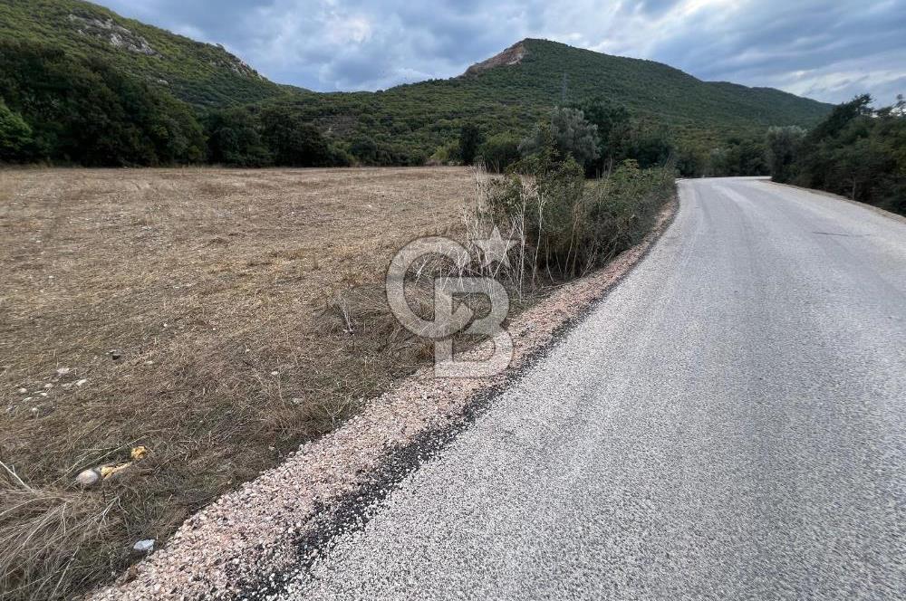 NİLÜFER AKÇALARDA OMSAN TIR PARKI DİBİNDE 5.800 M² ARAZİ