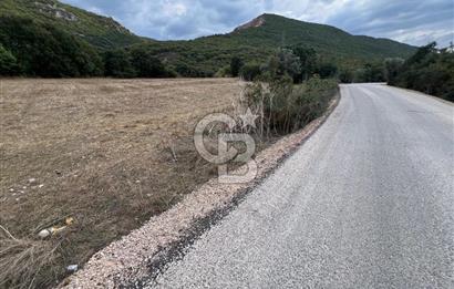 NİLÜFER AKÇALARDA OMSAN TIR PARKI DİBİNDE 5.800 M² ARAZİ