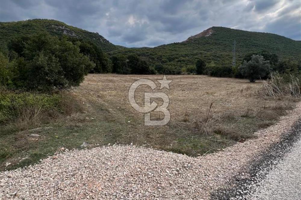 NİLÜFER AKÇALARDA OMSAN TIR PARKI DİBİNDE 5.800 M² ARAZİ