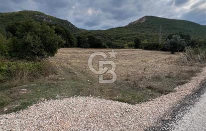 NİLÜFER AKÇALARDA OMSAN TIR PARKI DİBİNDE 5.800 M² ARAZİ