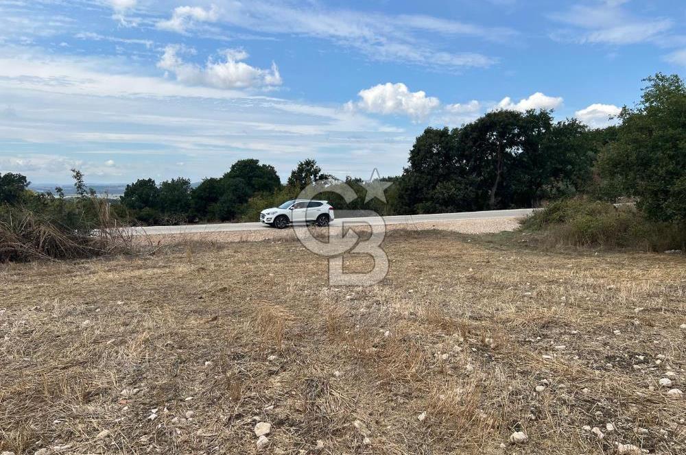 NİLÜFER AKÇALARDA OMSAN TIR PARKI DİBİNDE 5.800 M² ARAZİ