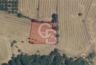 SATILIK MUSTAKIL TAPULU 2450,35 m2 TARLA - 4 - 376282