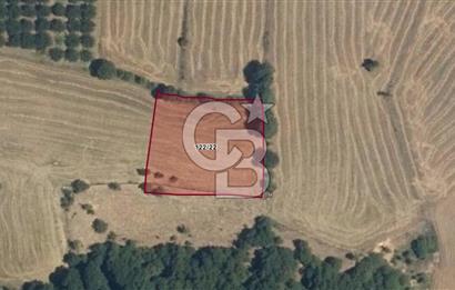 SATILIK MUSTAKIL TAPULU 2450,35 m2 TARLA