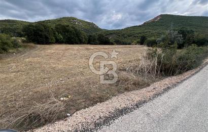 NİLÜFER AKÇALARDA OMSAN TIR PARKI DİBİNDE 5.800 M² ARAZİ