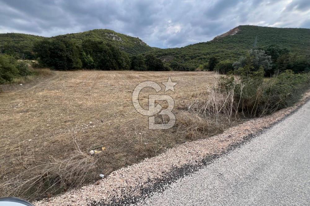 NİLÜFER AKÇALARDA OMSAN TIR PARKI DİBİNDE 5.800 M² ARAZİ
