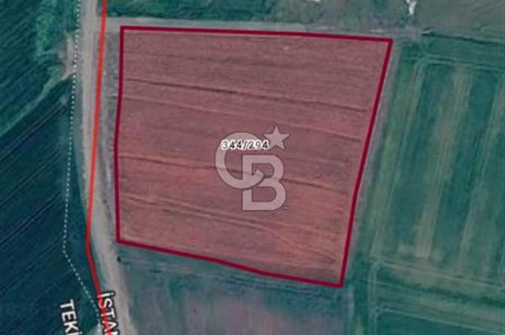 SİLİVRİ DEĞİRMENKÖY’DE 7.022 m² KADASTRO YOLA CEPHELİ YATIRIMLIK TARLA