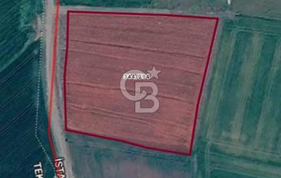 SİLİVRİ DEĞİRMENKÖY’DE 7.022 m² KADASTRO YOLA CEPHELİ YATIRIMLIK TARLA