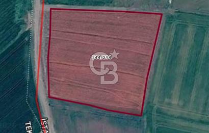 SİLİVRİ DEĞİRMENKÖY’DE 7.022 m² KADASTRO YOLA CEPHELİ YATIRIMLIK TARLA