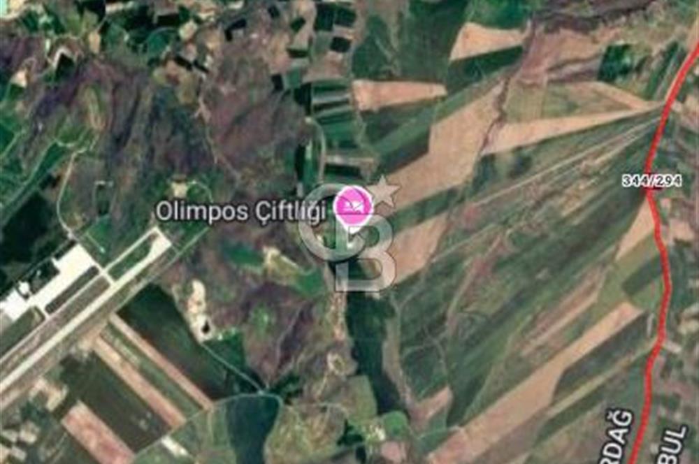 SİLİVRİ DEĞİRMENKÖY’DE 7.022 m² KADASTRO YOLA CEPHELİ YATIRIMLIK TARLA
