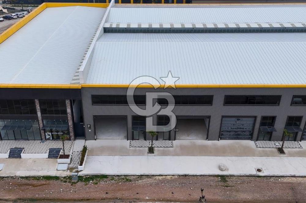 DEMART PLAZADA 404 M² | 134 M² TABAN | 8 MT GALERİ BOŞLUĞU