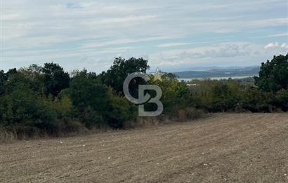 NİLÜFER AKÇALARDA OMSAN TIR PARKI DİBİNDE 5.800 M² ARAZİ