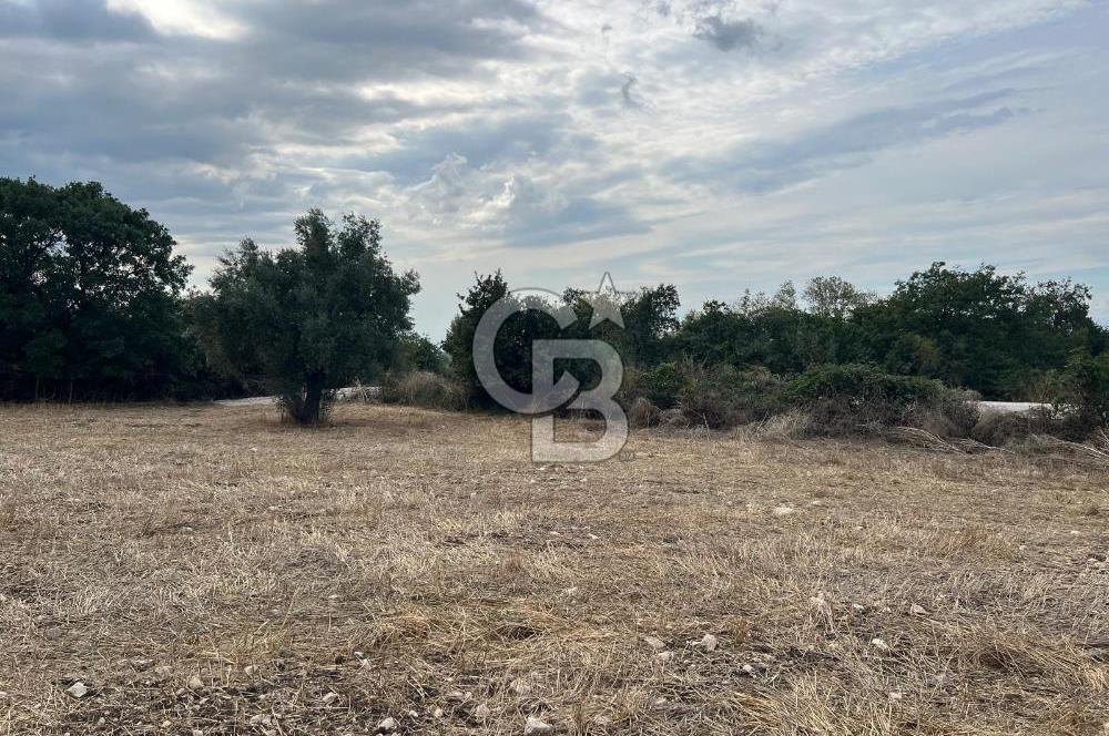 NİLÜFER AKÇALARDA OMSAN TIR PARKI DİBİNDE 5.800 M² ARAZİ