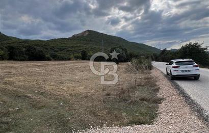NİLÜFER AKÇALARDA OMSAN TIR PARKI DİBİNDE 5.800 M² ARAZİ