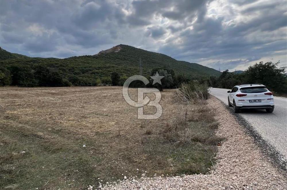 NİLÜFER AKÇALARDA OMSAN TIR PARKI DİBİNDE 5.800 M² ARAZİ