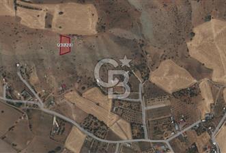 MEMLİK'DE 1658M2 SATILIK TEK TAPU BAĞ - 5 - 376332