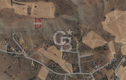 MEMLİK'DE 1658M2 SATILIK TEK TAPU BAĞ