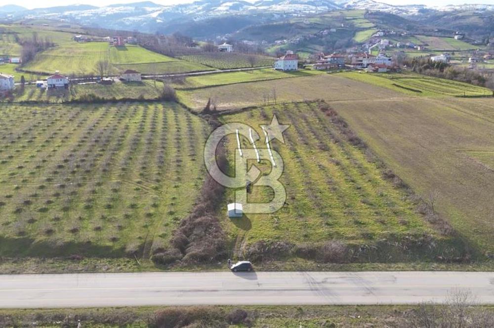 BÜYÜKLÜ BULVARINA CEPHE KÖŞE BAŞI KİRALIK ARSA
