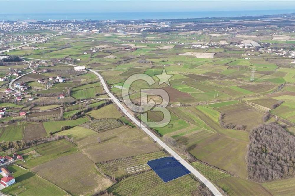 BÜYÜKLÜ BULVARINA CEPHE KÖŞE BAŞI KİRALIK ARSA