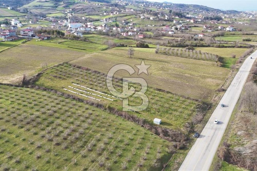 BÜYÜKLÜ BULVARINA CEPHE KÖŞE BAŞI KİRALIK ARSA
