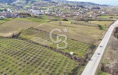 BÜYÜKLÜ BULVARINA CEPHE KÖŞE BAŞI KİRALIK ARSA
