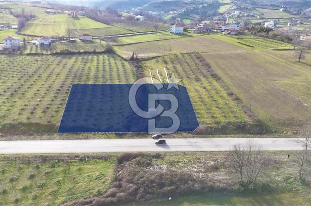 BÜYÜKLÜ BULVARINA CEPHE KÖŞE BAŞI KİRALIK ARSA