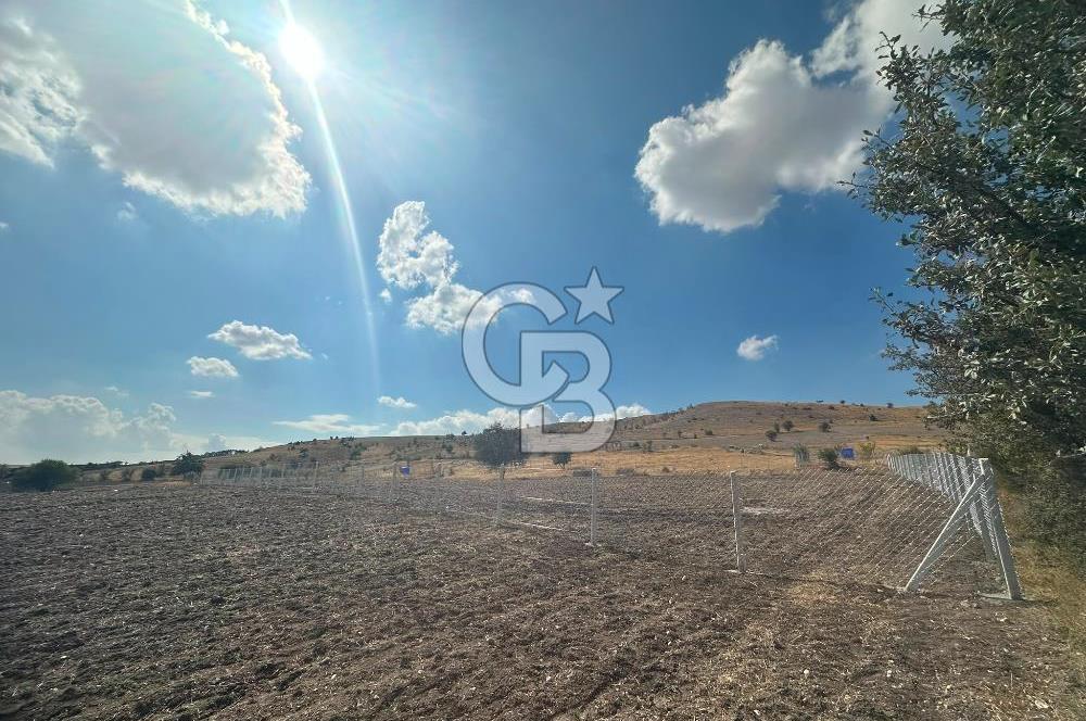 YENİMAHALLE MEMLİK'DE 3.545 m² SATILIK TARLA